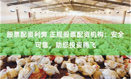 股票配资利弊 正规股票配资机构：安全可靠，助您投资腾飞