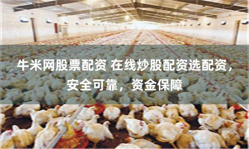牛米网股票配资 在线炒股配资选配资，安全可靠，资金保障