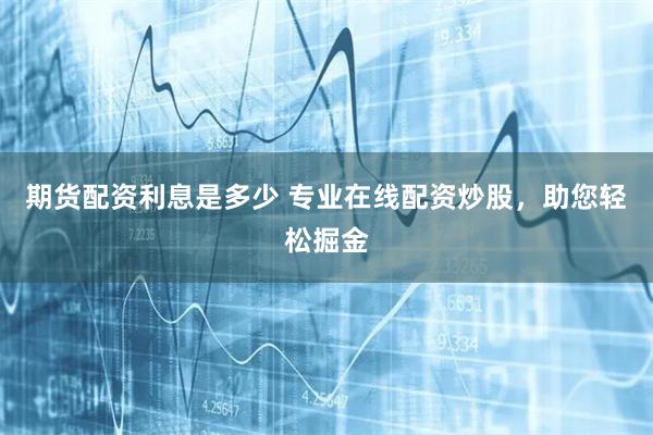 期货配资利息是多少 专业在线配资炒股,助您轻松掘金
