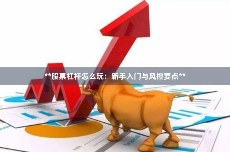 **股票杠杆怎么玩：新手入门与风控要点**